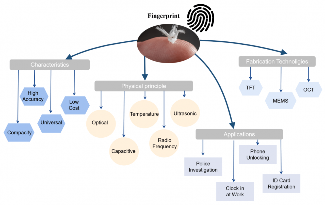 How to Delete Fingerprints on Android, A Comprehensive Guide